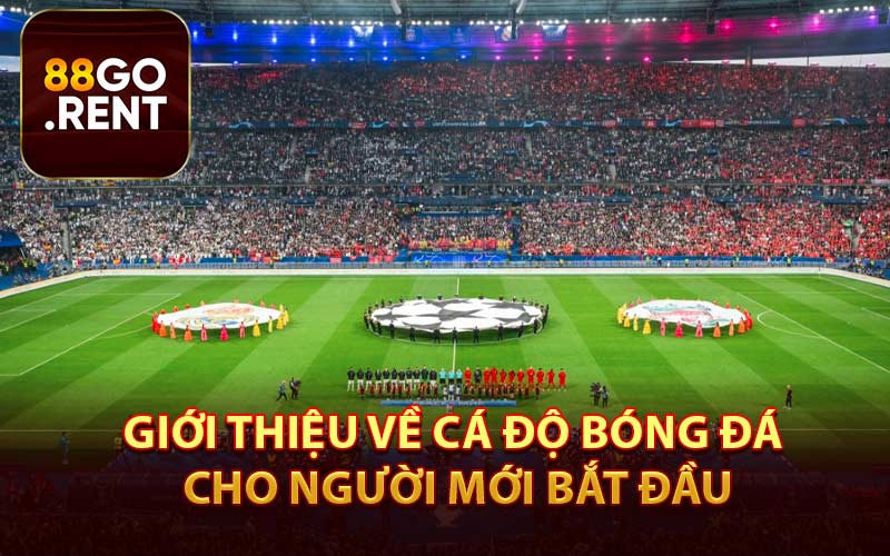 Giới Thiệu Về Cá Độ Bóng Đá Cho Người Mới Bắt Đầu