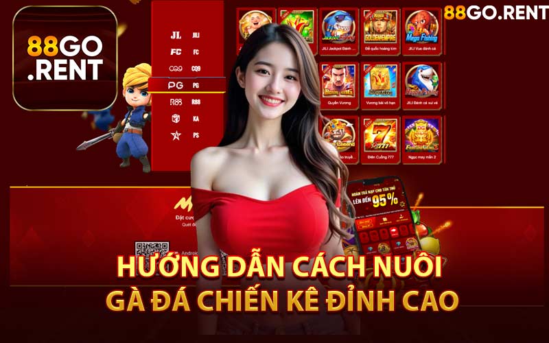 Hướng Dẫn Cách Nuôi Gà Đá Chiến Kê Đỉnh Cao