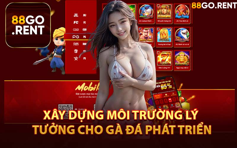 Xây Dựng Môi Trường Lý Tưởng Cho Gà Đá Phát Triển